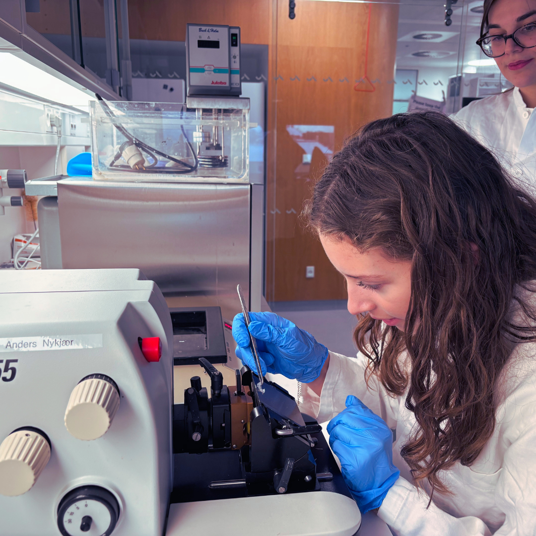 Thea is slicing some paraffin-embedded brains with the microtome to cut them in very thin slices which we then mounted on some slides. 